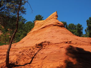 星空体育官网首页-一日英超动态阿莫林自信发声转会话题升温，阿莫子林
