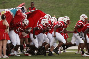 星空体育下载网址-中超球队备战训练强度升级，中超各队预备队大名单